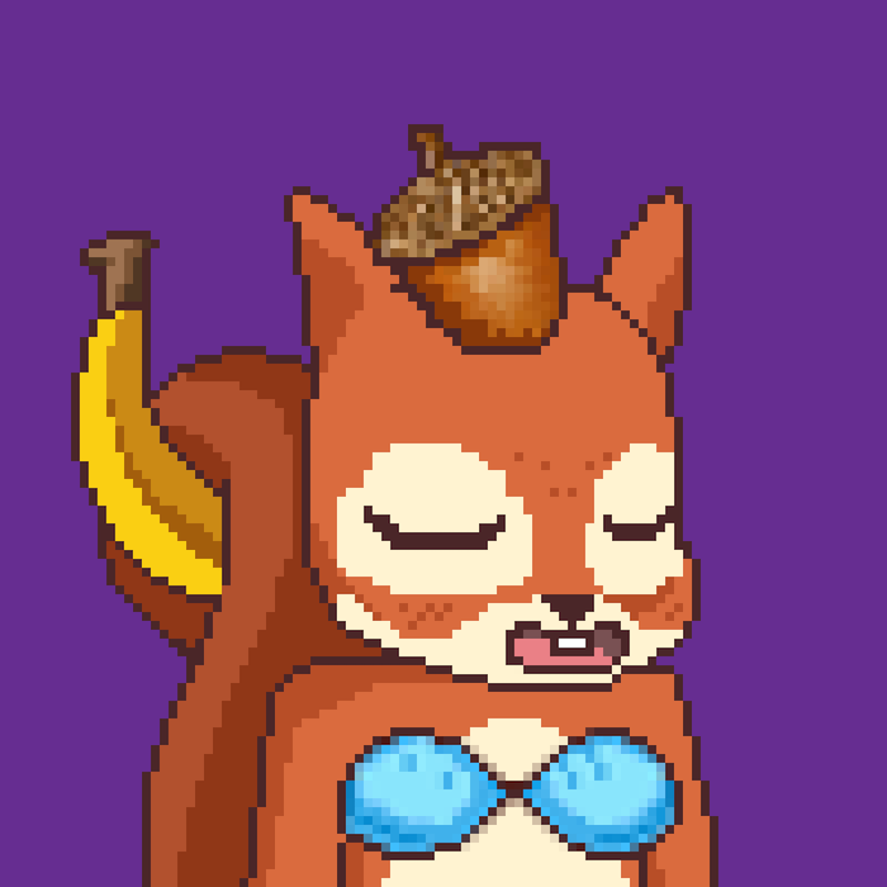 Pixel Squirrels #4577